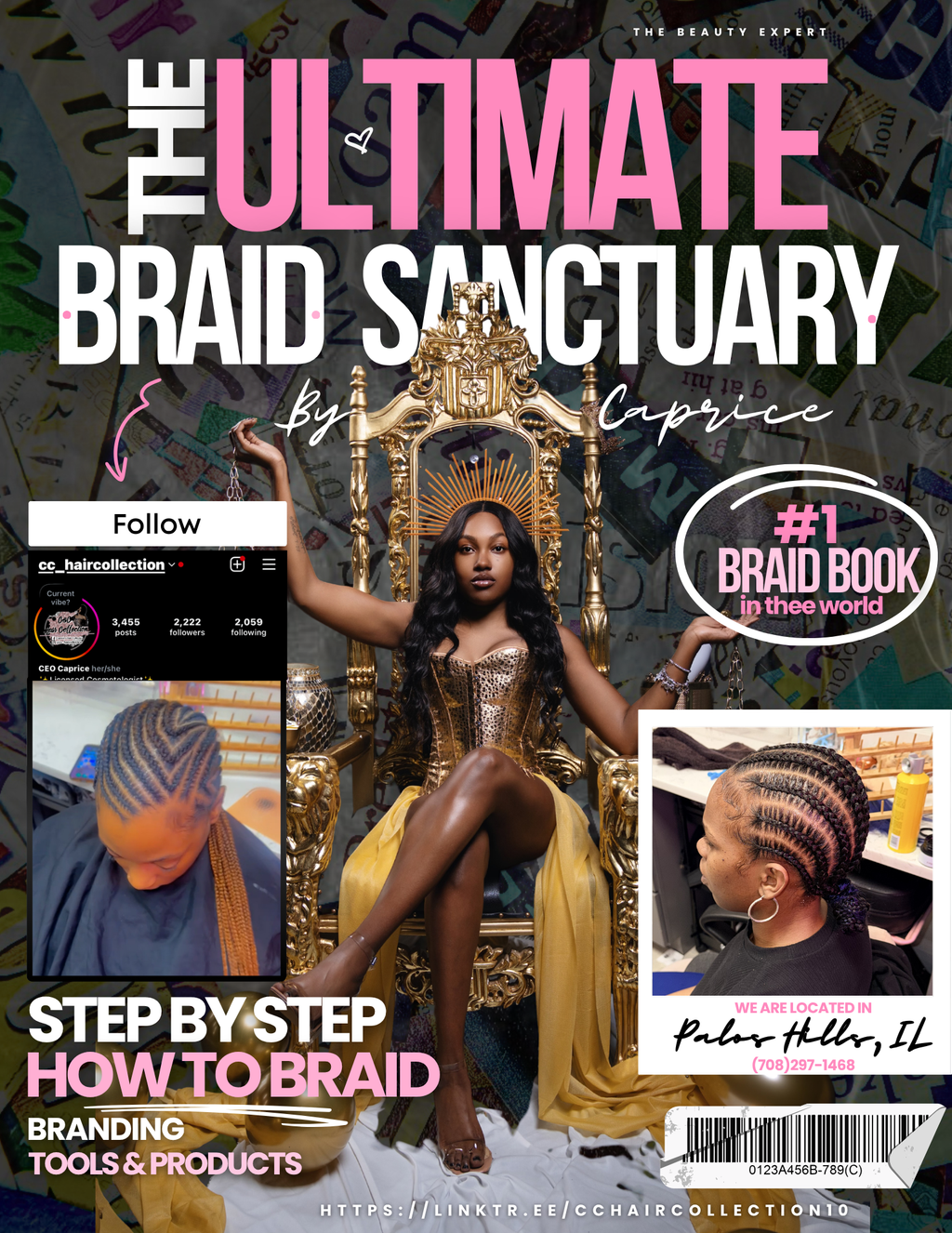 Braid Ebook