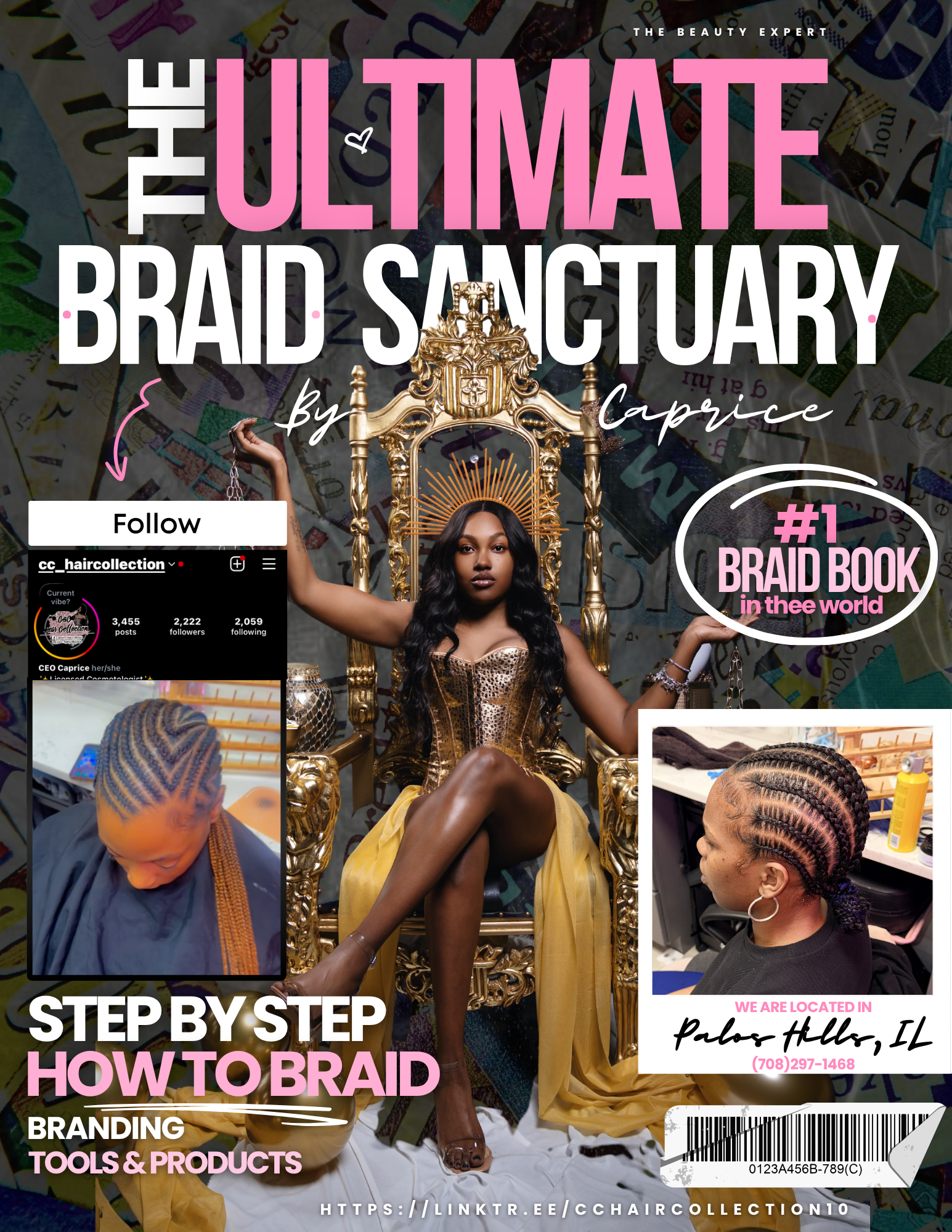 Braid Ebook